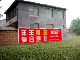 泉州如何让墙体广告展现最大化效果